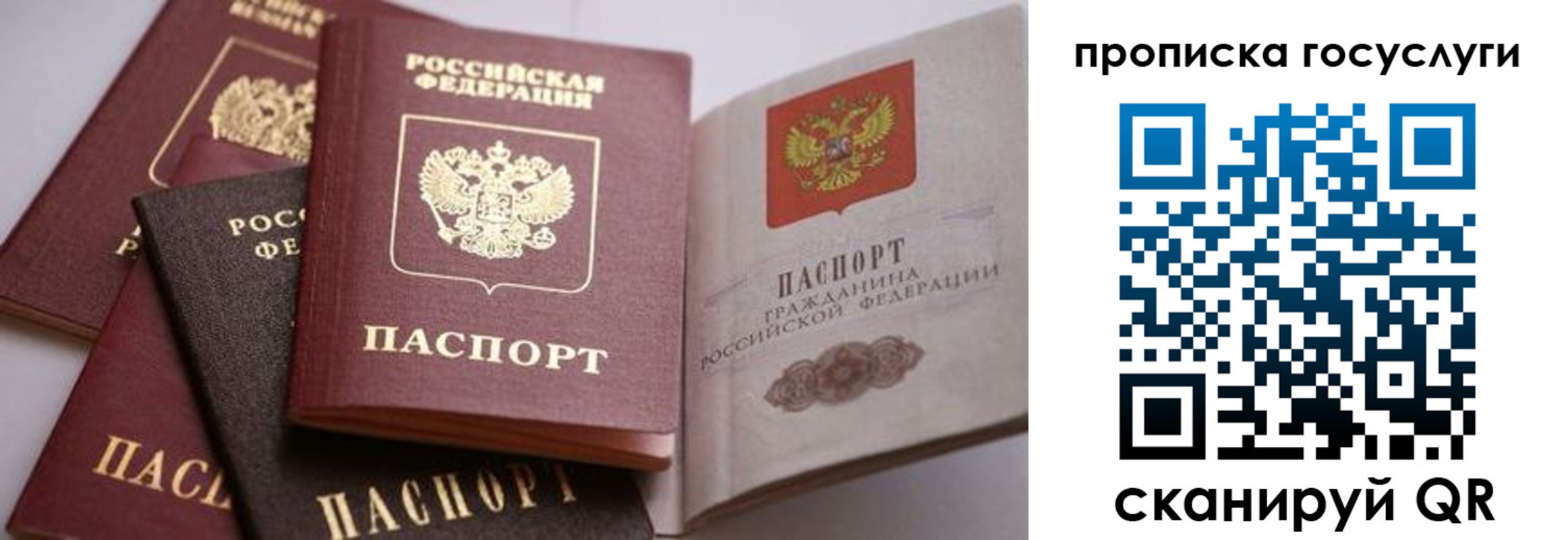прописка иностранных граждан в Пермской области